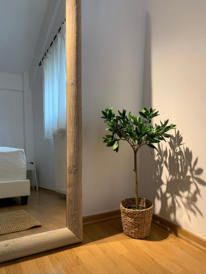 Casa Brucie - New Stylish Apartment In Corfu! Kanálion Extérieur photo